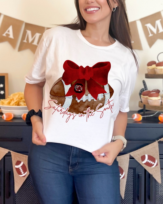 SC Gamecocks Saturdays in the South